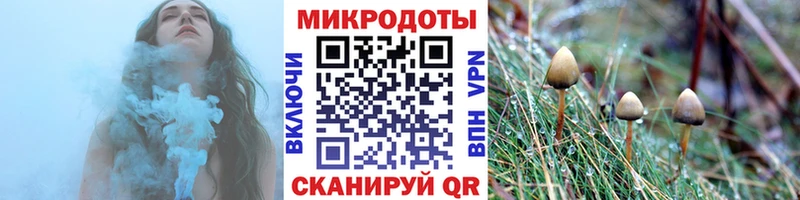 где купить наркотик  Тутаев  Псилоцибиновые грибы MAGIC MUSHROOMS 